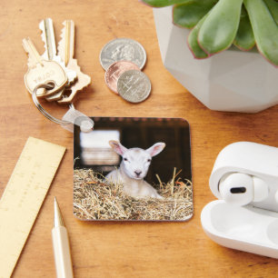 Cutest Baby Animals   Newborn Lamb Key Ring