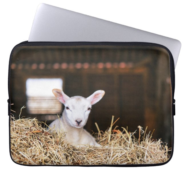 Cutest Baby Animals | Newborn Lamb Laptop Sleeve (Front)