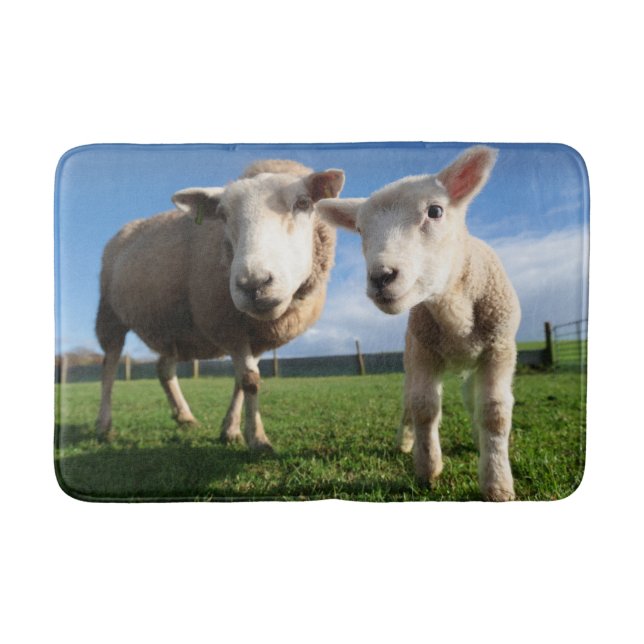 Cutest Baby Animals | Newborn Lamb & Mama Bath Mat (Front)