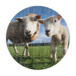 Cutest Baby Animals   Newborn Lamb & Mama Cutting Board