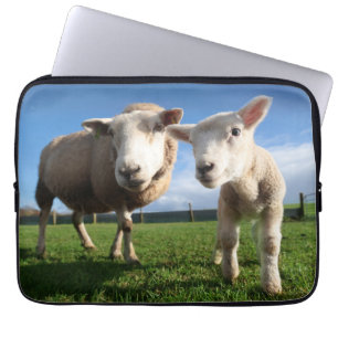Cutest Baby Animals Newborn Lamb & Mama Laptop Sleeve