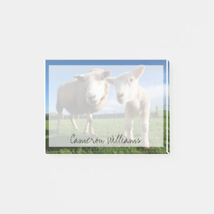 Cutest Baby Animals Newborn Lamb & Mama Post-it Notes