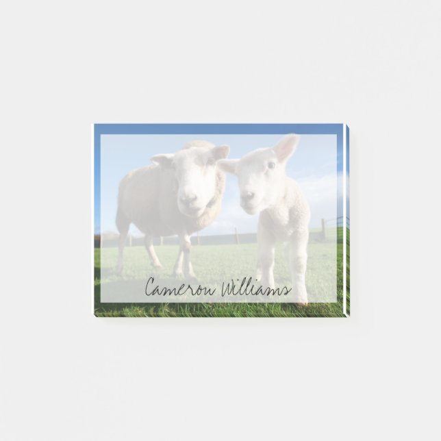 Cutest Baby Animals | Newborn Lamb & Mama Post-it Notes (Front)