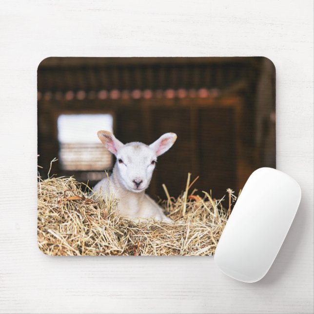 Cutest Baby Animals | Newborn Lamb Mouse Mat (With Mouse)