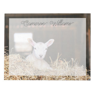 Cutest Baby Animals Newborn Lamb Notepad