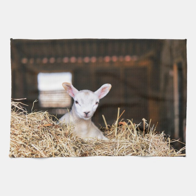 Cutest Baby Animals | Newborn Lamb Tea Towel (Horizontal)