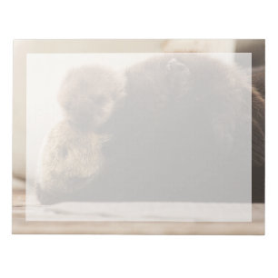 Cutest Baby Animals Newborn Otter Pup Notepad