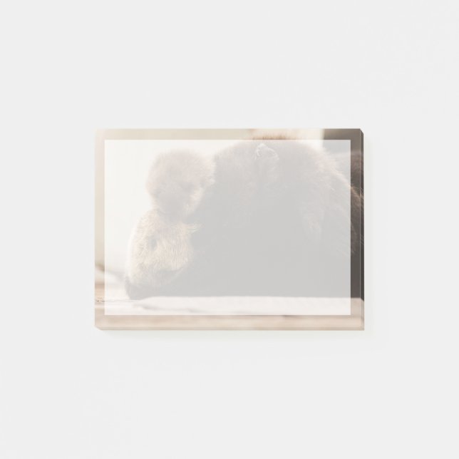 Cutest Baby Animals | Newborn Otter Pup Post-it Notes (Front)