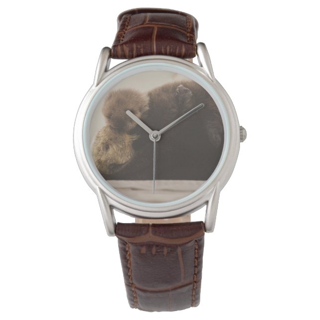 Cutest Baby Animals | Newborn Otter Pup Watch (Front)