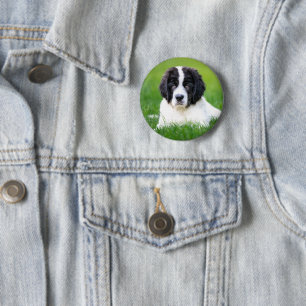 Cutest Baby Animals   Newfoundland Puppy 6 Cm Round Badge