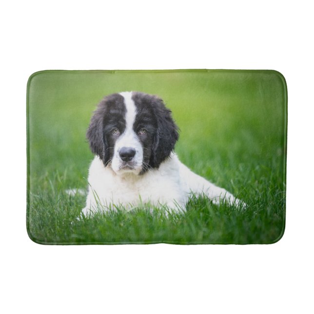 Cutest Baby Animals | Newfoundland Puppy Bath Mat (Front)