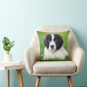 Cutest Baby Animals   Newfoundland Puppy Cushion