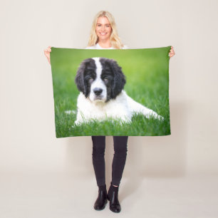 Cutest Baby Animals   Newfoundland Puppy Fleece Blanket