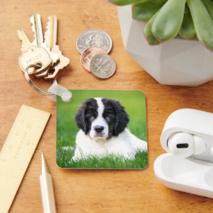 Cutest Baby Animals   Newfoundland Puppy Key Ring