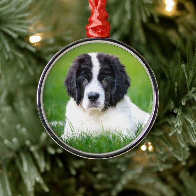 Cutest Baby Animals | Newfoundland Puppy Metal Tree Decoration (Tree)