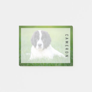 Cutest Baby Animals Newfoundland Puppy Post-it Notes