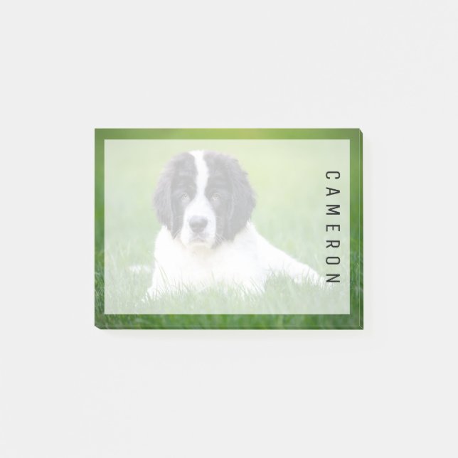 Cutest Baby Animals | Newfoundland Puppy Post-it Notes (Front)