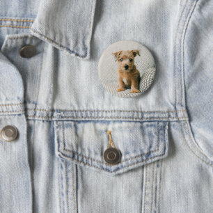 Cutest Baby Animals Norfolk Terrier Puppy 6 Cm Round Badge