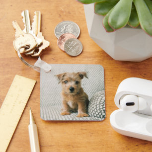 Cutest Baby Animals Norfolk Terrier Puppy Key Ring