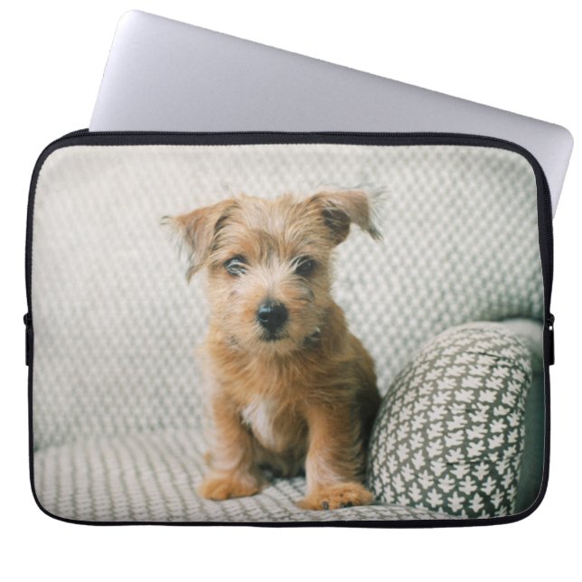 Cutest Baby Animals | Norfolk Terrier Puppy Laptop Sleeve (Front)