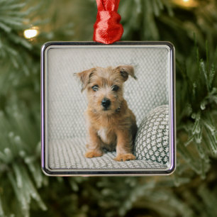 Cutest Baby Animals   Norfolk Terrier Puppy Metal Tree Decoration