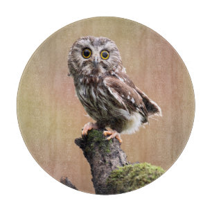 Cutest Baby Animals Northern Saw Whet Owl Cutting Board