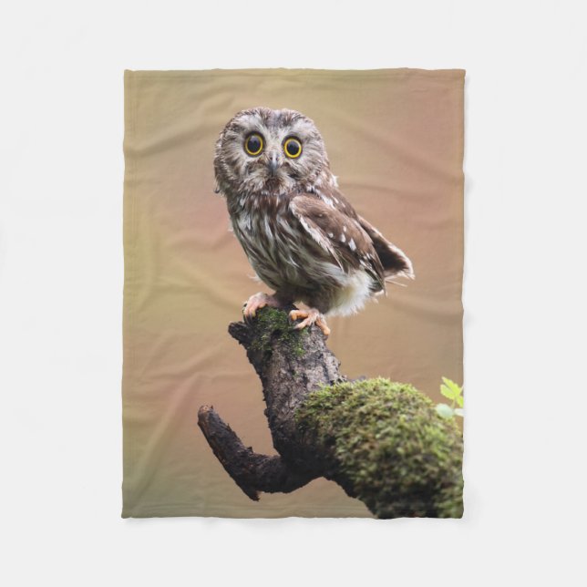 Cutest Baby Animals | Northern Saw Whet Owl Fleece Blanket (Front)