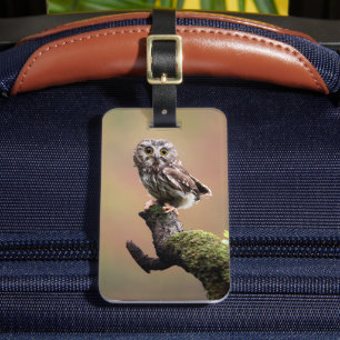 Cutest Baby Animals   Northern Saw Whet Owl Luggage Tag