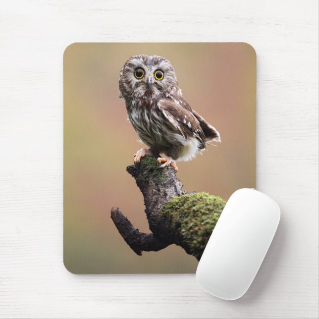 Cutest Baby Animals | Northern Saw Whet Owl Mouse Mat (With Mouse)