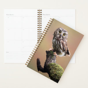 Cutest Baby Animals Northern Saw Whet Owl Planner