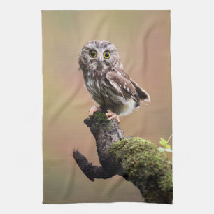 Cutest Baby Animals   Northern Saw Whet Owl Tea Towel