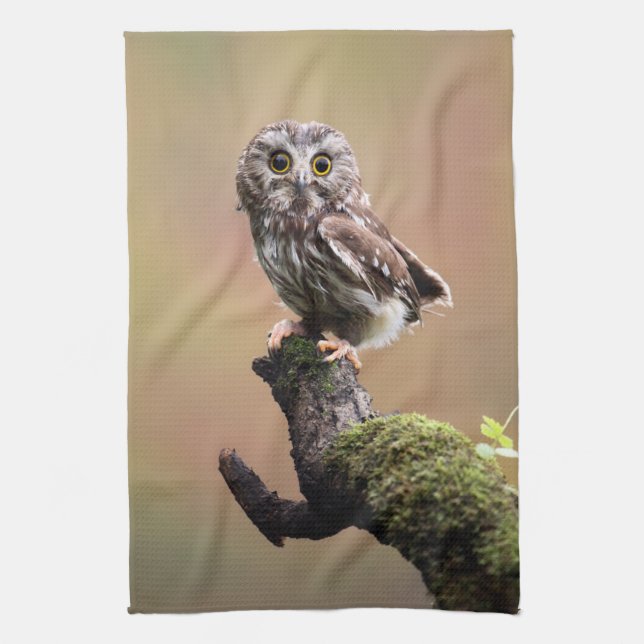 Cutest Baby Animals | Northern Saw Whet Owl Tea Towel (Vertical)