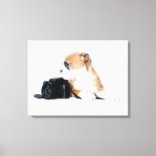 Cutest Baby Animals Old Tyme British Bulldog Canvas Print