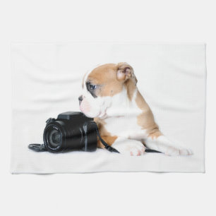 Cutest Baby Animals Old Tyme British Bulldog Tea Towel