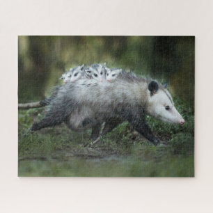 Cutest Baby Animals   Opossum Mom & Kids Jigsaw Puzzle