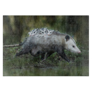 Cutest Baby Animals Opossum Mum & Kids Cutting Board