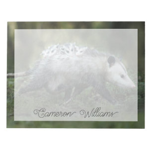Cutest Baby Animals Opossum Mum & Kids Notepad