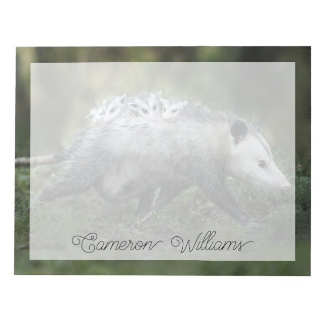 Cutest Baby Animals | Opossum Mum & Kids Notepad (Front)