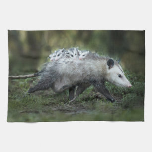 Cutest Baby Animals Opossum Mum & Kids Tea Towel