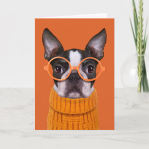 Cutest Baby Animals   Orange Boston Terrier Card