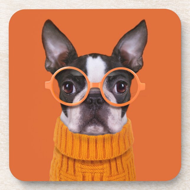 Cutest Baby Animals | Orange Boston Terrier Coaster (Front)