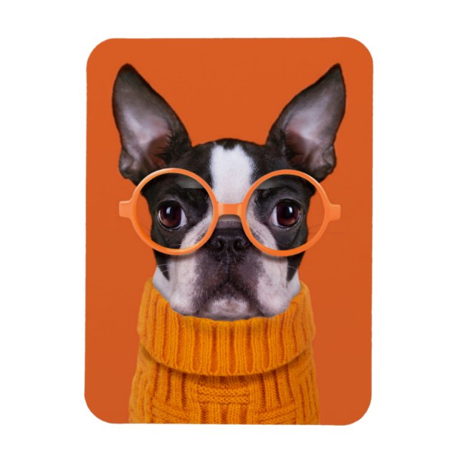 Cutest Baby Animals | Orange Boston Terrier Magnet (Vertical)