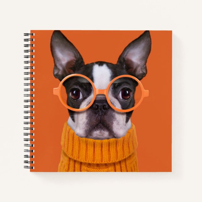 Cutest Baby Animals | Orange Boston Terrier Notebook (Front)