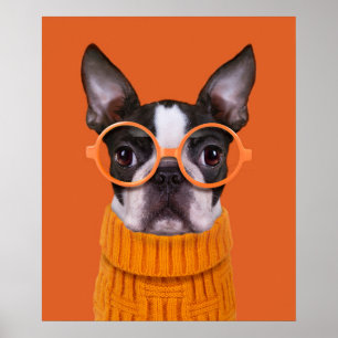 Cutest Baby Animals   Orange Boston Terrier Poster