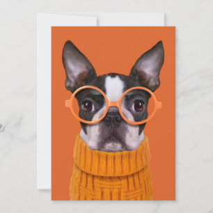 Cutest Baby Animals Orange Boston Terrier Thank You Card