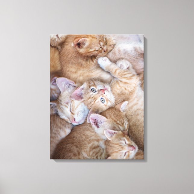 Cutest Baby Animals | Orange Kitten Pile Canvas Print (Front)