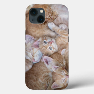 Cutest Baby Animals   Orange Kitten Pile iPhone 13 Case