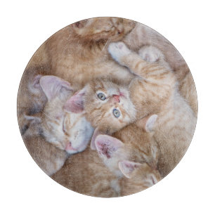 Cutest Baby Animals   Orange Kitten Pile Cutting Board
