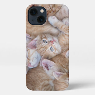 Cutest Baby Animals   Orange Kitten Pile iPhone 13 Case