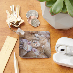 Cutest Baby Animals Orange Kitten Pile Key Ring
